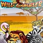 Wild Gambler thumbnail